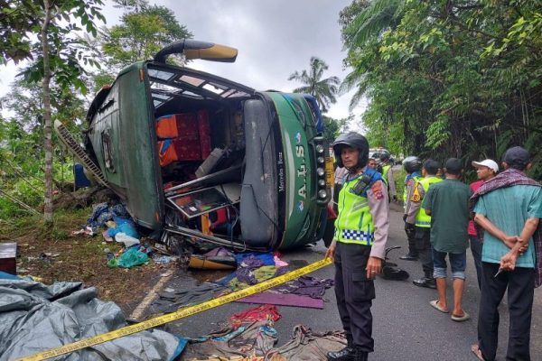 Kumpulan Fakta Hasil Olah TKP Kecelakaan Bus ALS Terguling Jalan Lintas di Bukittinggi